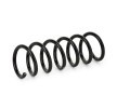 SACHS Helezon yay — 2012 Volkswagen Touareg (2)