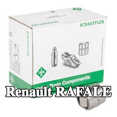 INA المكبس، مضخة الضغط العالي — Renault Rafale