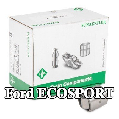 INA المكبس، مضخة الضغط العالي — Ford Ecosport