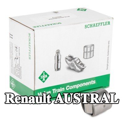 INA المكبس، مضخة الضغط العالي — Renault Austral