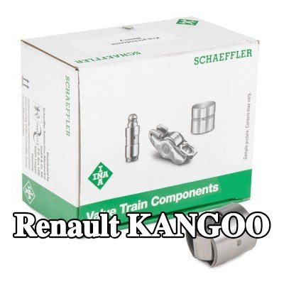 INA المكبس، مضخة الضغط العالي — Renault Kangoo