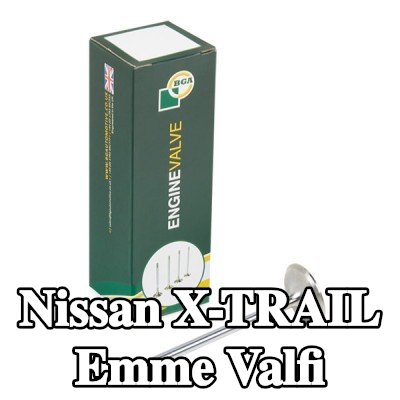 BGA Emme valfi — 2012 Nissan X-trail