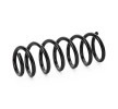 SACHS Helezon yay — BMW 6 Series (2)