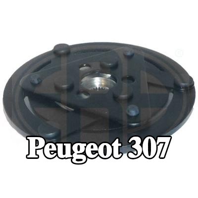 ERA حشية مانعة للتسرب — Peugeot 307