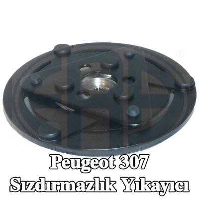 ERA Sızdırmazlık Yıkayıcı — Peugeot 307