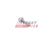 FAST Enjektör kelepçe cıvatası — Ford Focus (4)