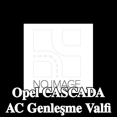 BOSCH Montaj kılavuzu ile klima genleşme valfi — Opel Cascada