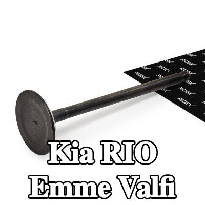 RIDEX Emme valfi Nitrürlenmiş valf gövdesi — 2012 Kia Rio