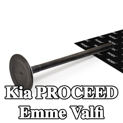 RIDEX Emme valfi Nitrürlenmiş valf gövdesi — 2012 Kia Proceed