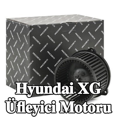 RIDEX Klimalı/klimasız araçlar için FAN motoru — Hyundai Xg