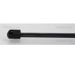TRISCAN Bagaj kapağı desteği 425mm — DS Ds5 (3)