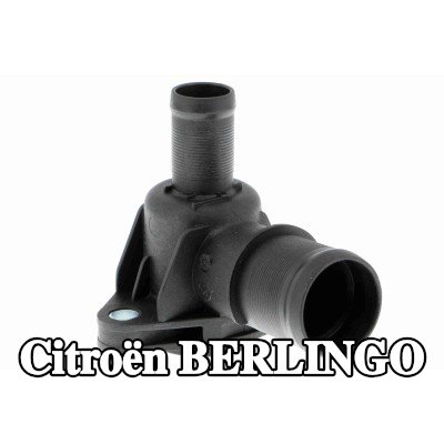 VAICO شفة سائل التبريد Q+, جودة الشركة المصنعة للمعدات الأصلية — 2012 Citroën Berlingo