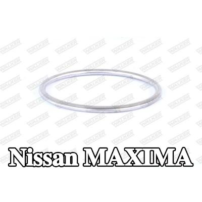 WALKER حشية أنبوب العادم — 1990 Nissan Maxima