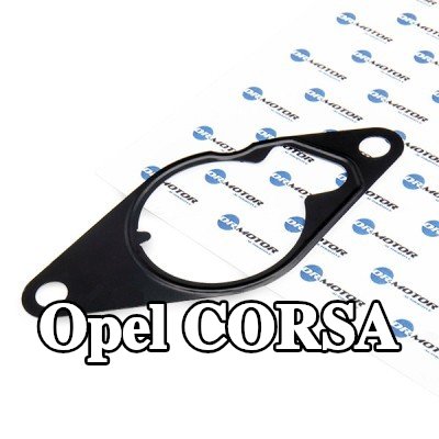 DR.MOTOR AUTOMOTIVE حشية، مضخة تفريغ — 2003 Opel Corsa