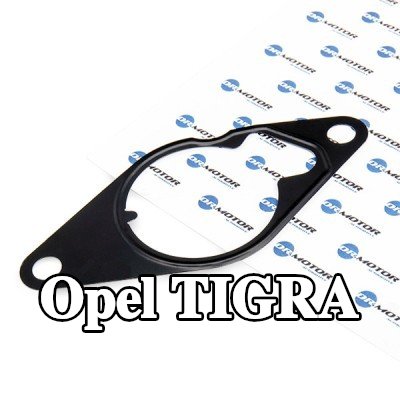 DR.MOTOR AUTOMOTIVE حشية، مضخة تفريغ — Opel Tigra