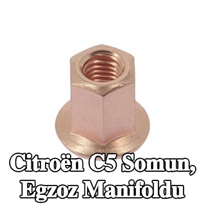 WALKER Somun, egzoz manifoldu — 2002 Citroën C5