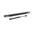 RIDEX دعامة الباب الخلفي الخلفية, كلا الجانبين, 279mm — Volkswagen Bora (2)