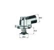 MAHLE Termostat 87°C, contalı/sızdırmaz — 1997 Mercedes-Benz V-Class (1)