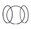 MAHLE Piston Segman Kiti — Nissan Interstar (3)