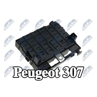 NTY وحدة التحكم، إدارة المحرك — Peugeot 307
