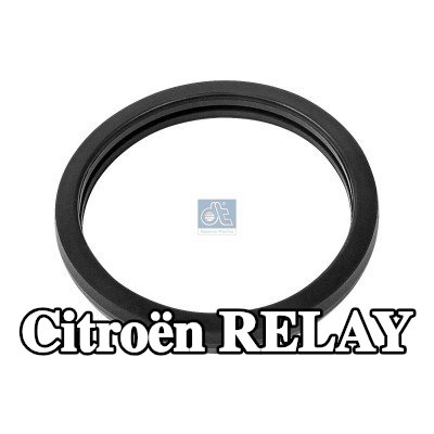 DT Spare Parts حشية، منظم الحرارة — Citroën Relay