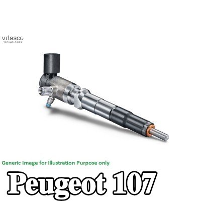Schaeffler Vitesco حقن مع حشية/مانع تسرب, يجب تدريب/تحديث وحدة التحكم/البرنامج — Peugeot 107