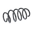 SACHS Helezon yay — Volkswagen Scirocco (2)