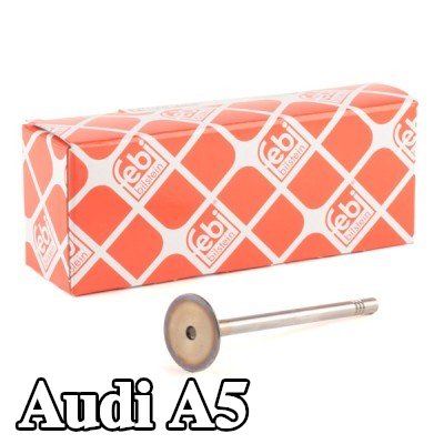 FEBI BILSTEIN صمام السحب — 2012 Audi A5