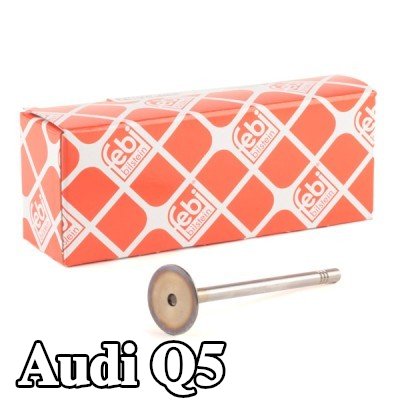 FEBI BILSTEIN صمام السحب — 2012 Audi Q5