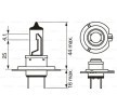 BOSCH Uzun far ampulü H7, 55W, 12V — 1998 Chevrolet Astra (3)