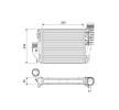 VALEO Intercooler — Citroën Dispatch (5)