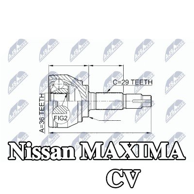 NTY مجموعة وصلة المحور الأمامي, جانب العجلة — Nissan Maxima