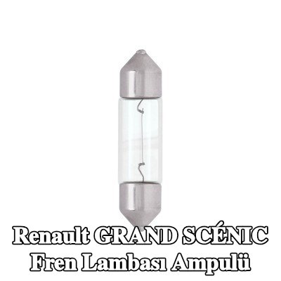 RING Fren lambası ampulü — Renault Grand Scénic