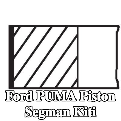 MAHLE Piston Segman Kiti — Ford Puma