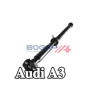 BOGAP وحدة التحكم، مضخة الوقود — 2003 Audi A3