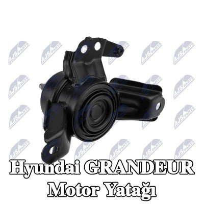 NTY Motor yatağı Sağ — 2012 Hyundai Grandeur