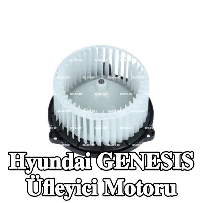 NRF Üfleyici motoru — Hyundai Genesis