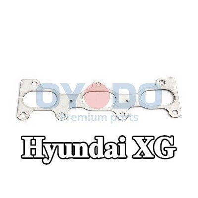 Oyodo حشية مشعب العادم — 1999 Hyundai Xg