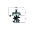MAHLE Termostat 88°C, contalı/sızdırmaz — Kia Clarus (1)