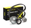 RIDEX PLUS V-Oluklu Kayış Seti — Peugeot 307 (1)