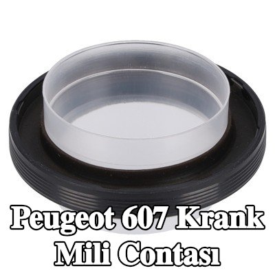 FEBI BILSTEIN Krank mili contası PTFE (politetrafloroetilen) — Peugeot 607