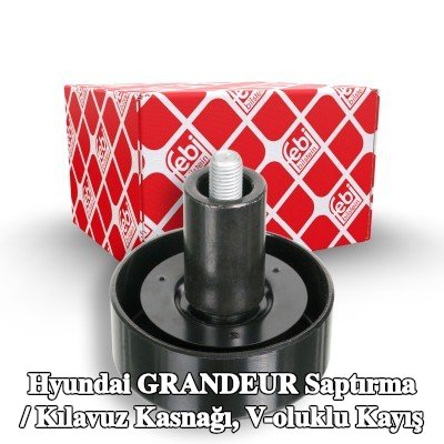 FEBI BILSTEIN Saptırma / kılavuz kasnağı, V-ribbed belt Outer Diameter: 70mm, vida ile — Hyundai Grandeur
