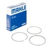 MAHLE Piston Segman Kiti — 1994 Audi A4 (1)