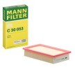 MANN-FILTER Hava filtresi — Land Rover Range Rover (3)