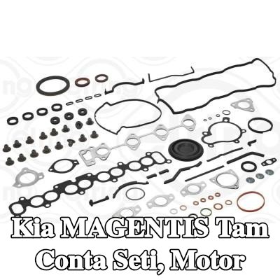 ELRING Tam Conta Seti, krank mili contalı motor, valf gövdesi contalı, silindir kafası contası olmadan — 2008 Kia Magentis