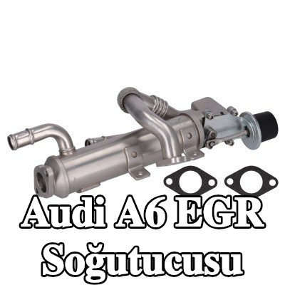 FEBI BILSTEIN Contalar/sızdırmazlık elemanları ile EGR soğutucusu — 2011 Audi A6