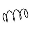 SACHS Helezon yay — Renault Modus / Grand Modus (2)