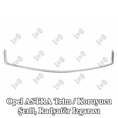 ABAKUS Trim / koruyucu şerit, radyatör ızgarası Ön, Alt — 2004 Opel Astra