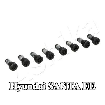 ASHIKA برغي، حامل الترس الدائري لحذافة العجلات — Hyundai Santa Fe