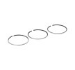 RIDEX Piston Segman Kiti — 2011 Hyundai Santa Fe (2)